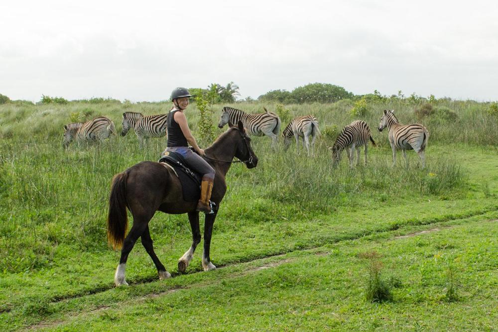 小伊甸园酒店 Saint Lucia Estuary 外观 照片