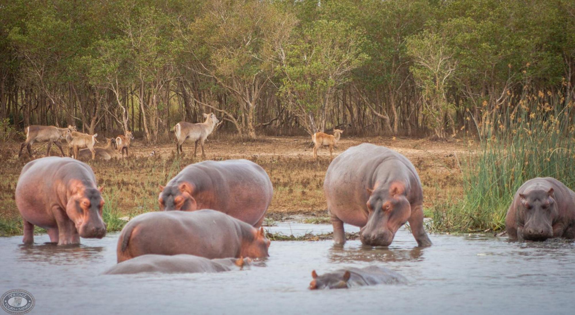 小伊甸园酒店 Saint Lucia Estuary 外观 照片
